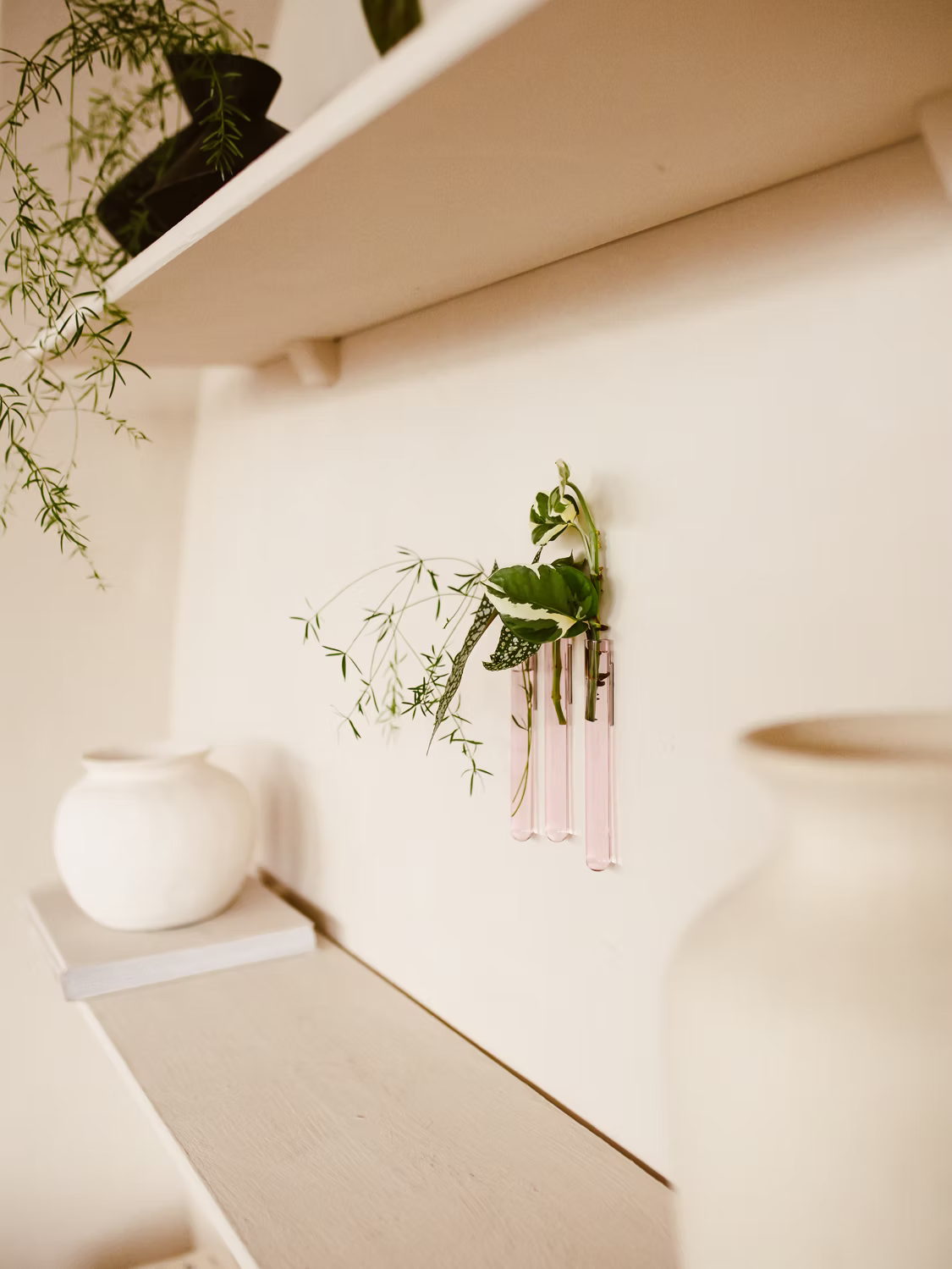 Lot de 3 Soliflores simple Walleaf