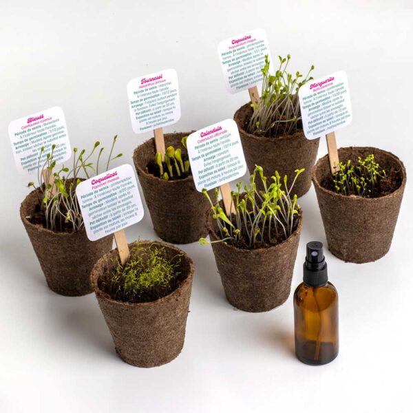 Kit de plantation Flower Power Resetea 3