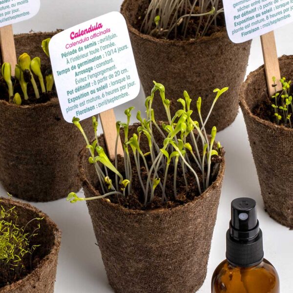 Kit de plantation Flower Power Resetea 4
