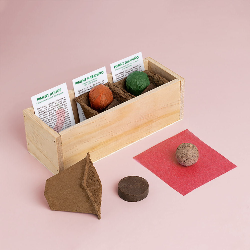 Kit de plantation epices Resetea 1