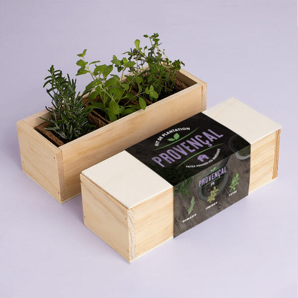 Kit de plantation provencal Resetea 1