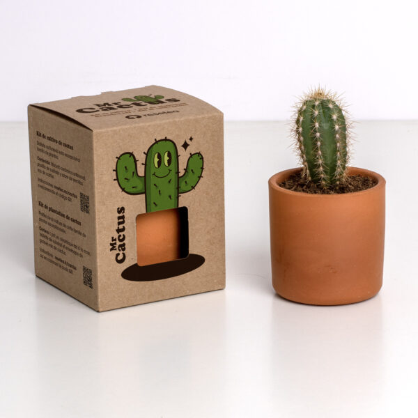 Kit resetea the Cactus Resetea 4