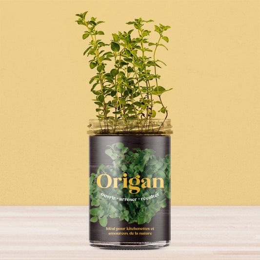 Potager pour la Cuisine